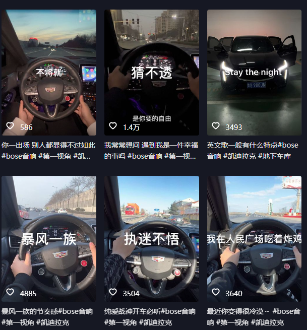 抖音开车视频项目,0基础操作,每天五分钟,月入1W+