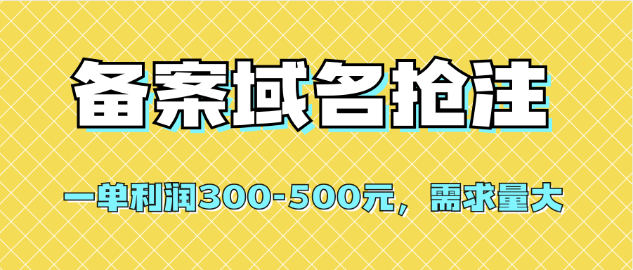 【全网首发】备案域名抢注,一单利润300-500元,需求量大