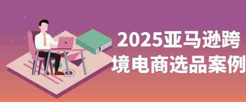 2025亚马逊跨境电商选品案例