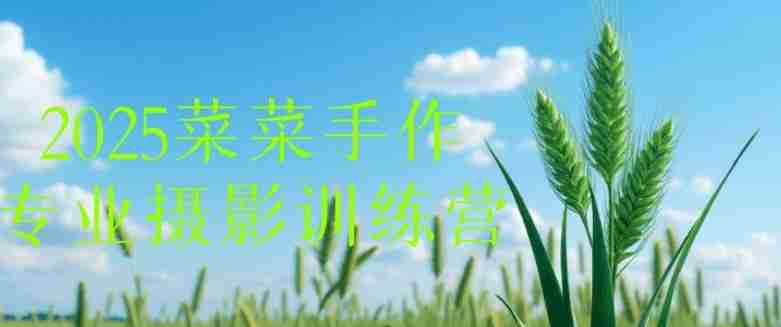 2025菜菜手作专业摄影训练营