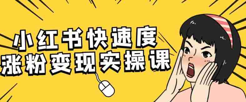 小红书快速度涨粉变现实操课