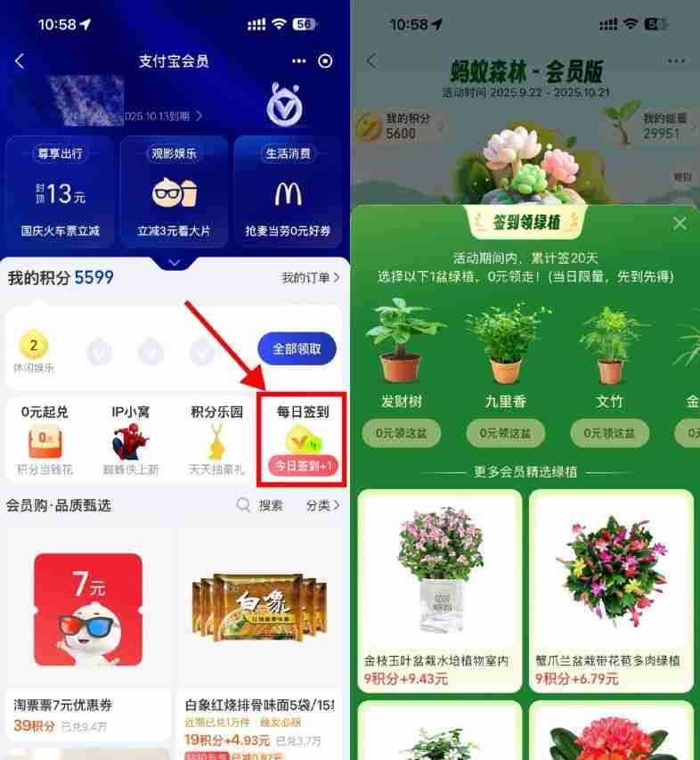 支付宝蚂蚁森林签20天领绿植