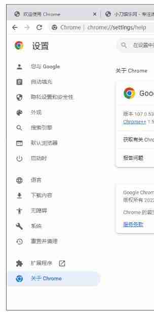 Google Chrome v143.0.7499.193便携增强版